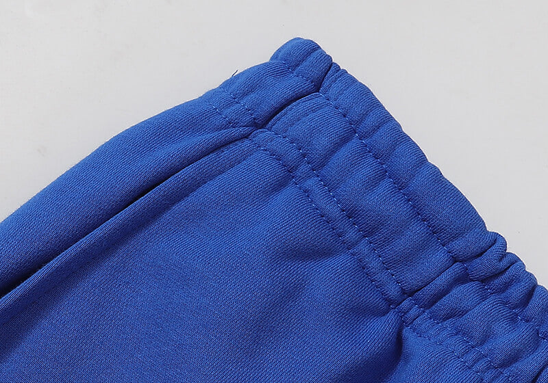 Spider Beluga Sweatpants Blue